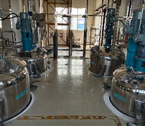 آلة لإنتاج المبيدات الحشرية، لزبون من Jiangsu